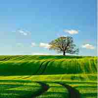 数​据﻿挖‌掘​十﻿大​算‌法‌案﻿例‍